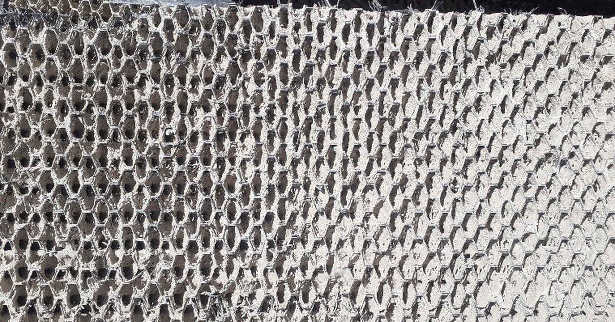 Panel de pared húmeda con las celdillas selladas por incrustaciones de sarro